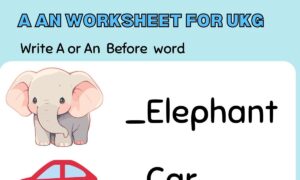 A An Worksheet for UKG,